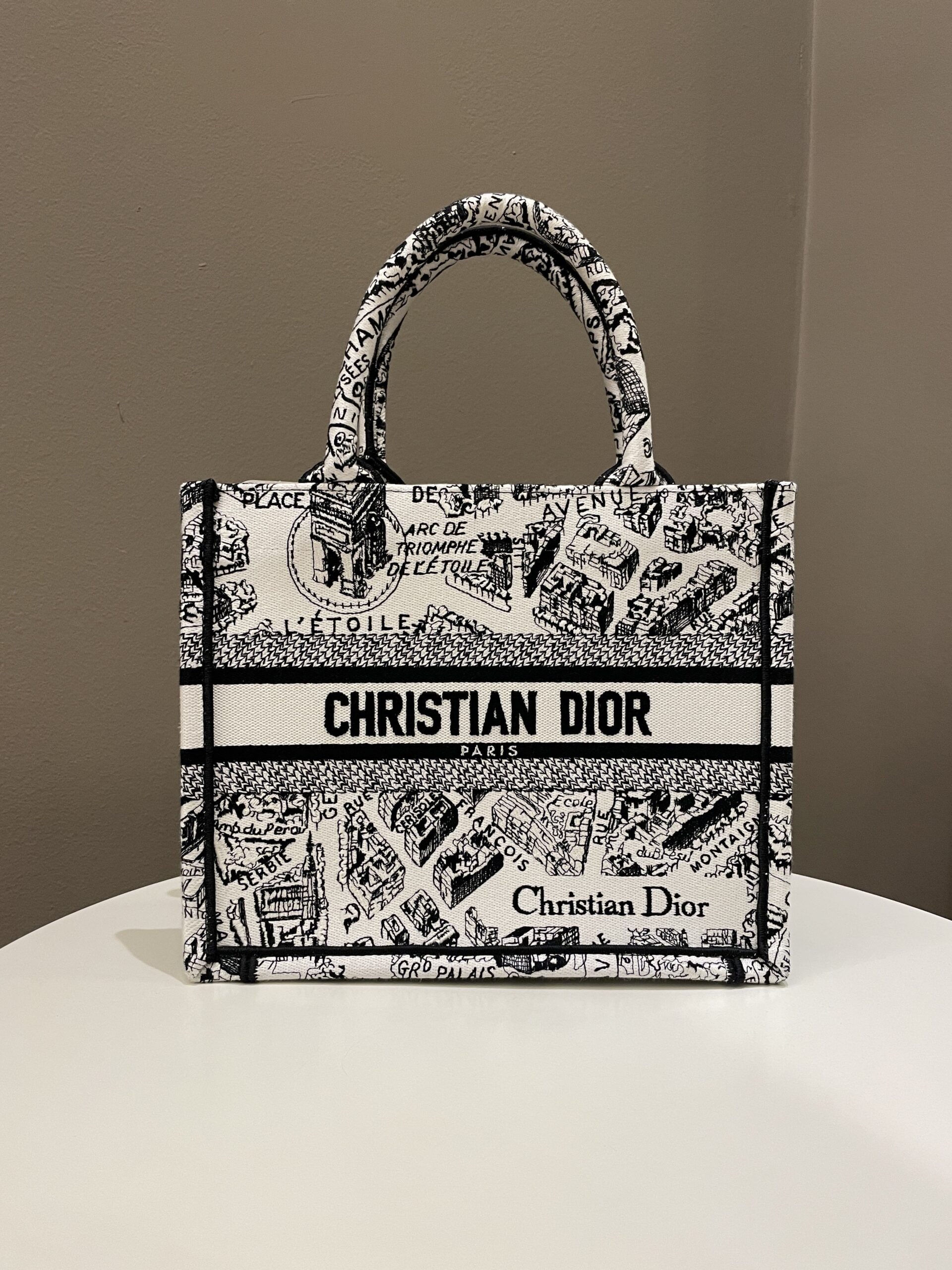 Dior Plan de Paris Book Tote White / Black