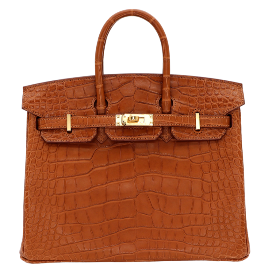 Hermes25cm Birkin Gold Matte Alligator Gold Hardware | Studio Nafay