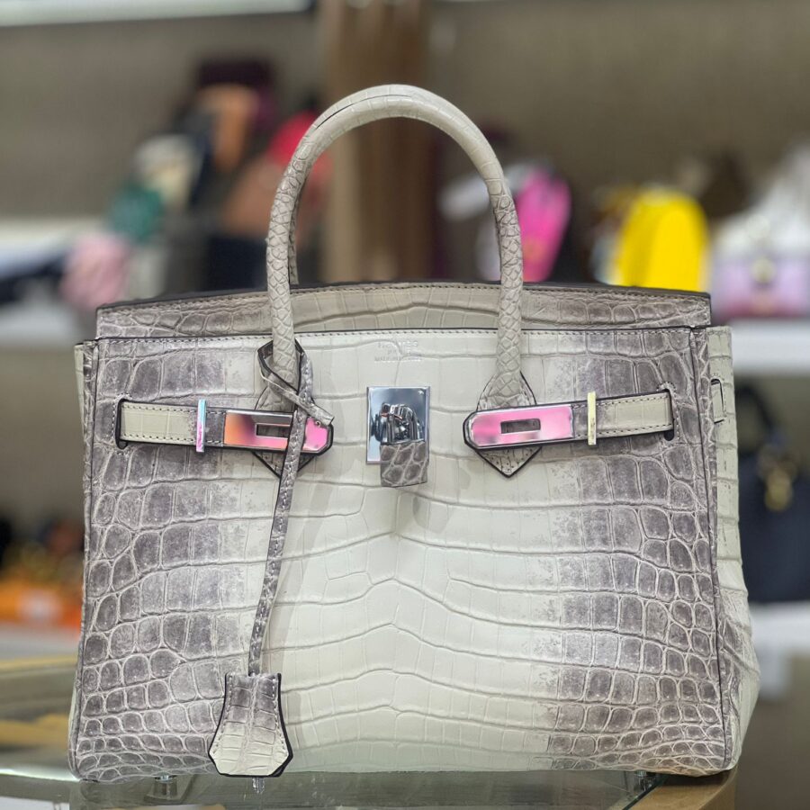 Hermes Birkin 30 Himalayan Himalaya Crocodile Handbag | Studio Nafay