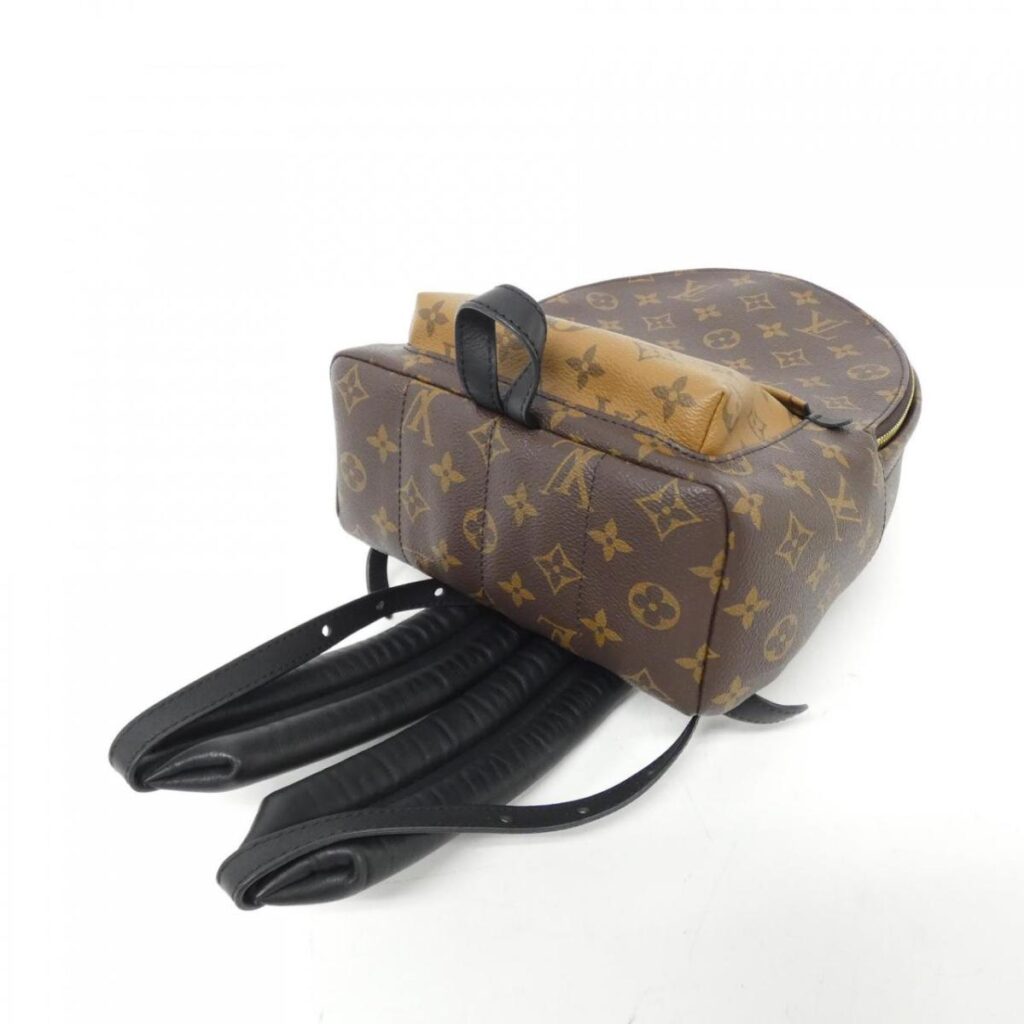 Louis Vuitton Monogram Reversee Palm Supremes Backpack PM Rucksack - Product Image 2