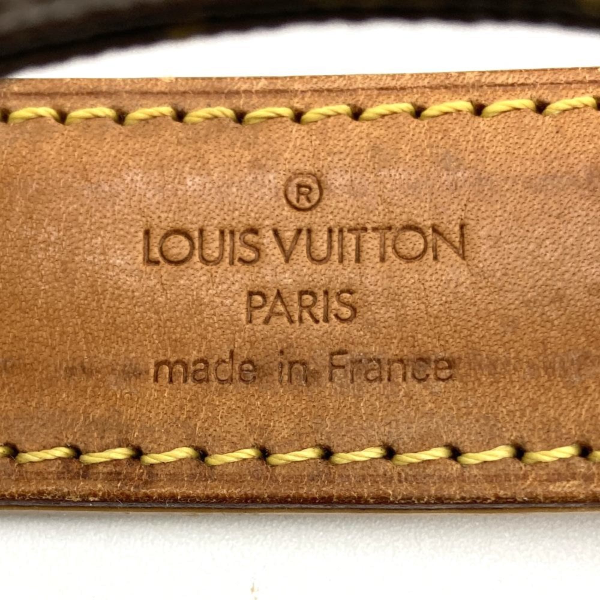 Louis Vuitton Monogram Canvas Pvc Pochette Shoulder Bag