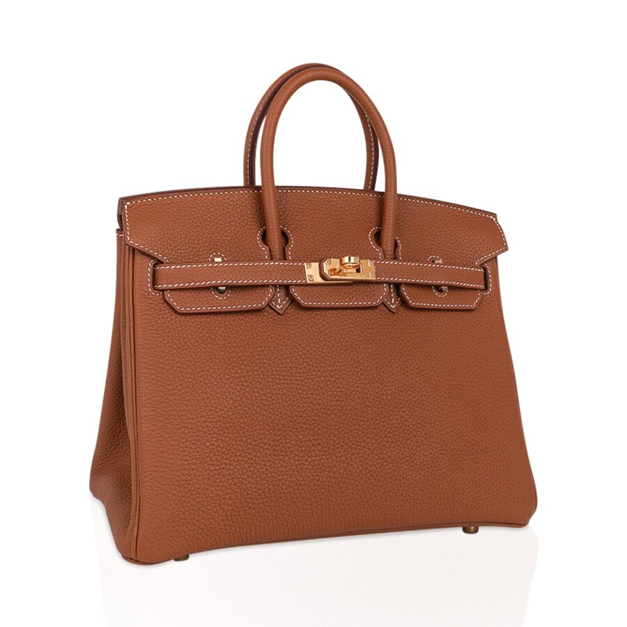 Hermes Birkin 25 Bag Gold Togo Leather Gold Hardware | Studio Nafay