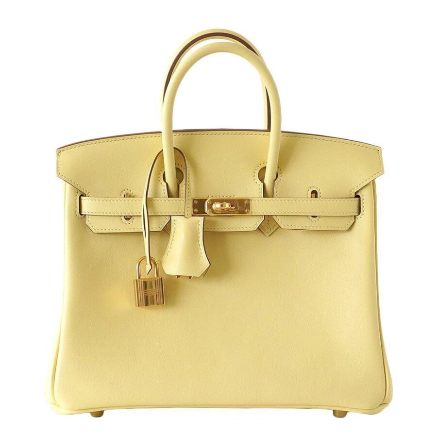 HermesBirkin 25 Jaune Poussin Bag | Studio Nafay