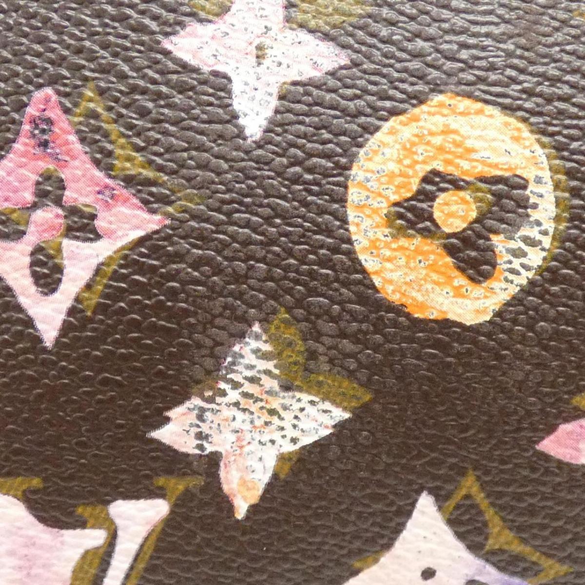 Louis Vuitton Monogram Water Colour Papillon 30cm Bag