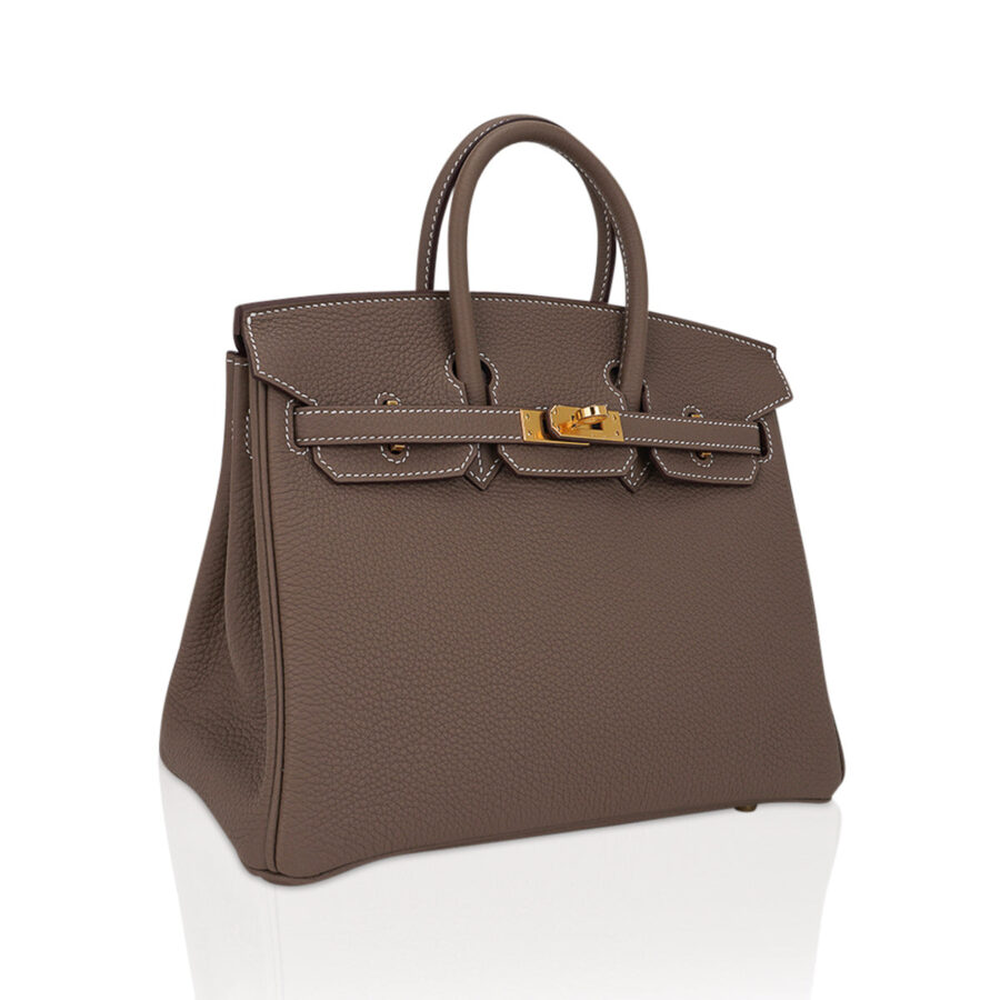 Hermes Birkin 25 Bag Etoupe Togo Leather with Gold Hardware | Studio Nafay