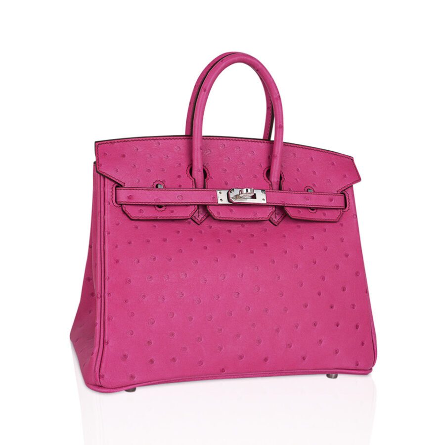 Hermes Birkin 25 Bag Fuchsia Ostrich with Palladium Hardware | Studio Nafay