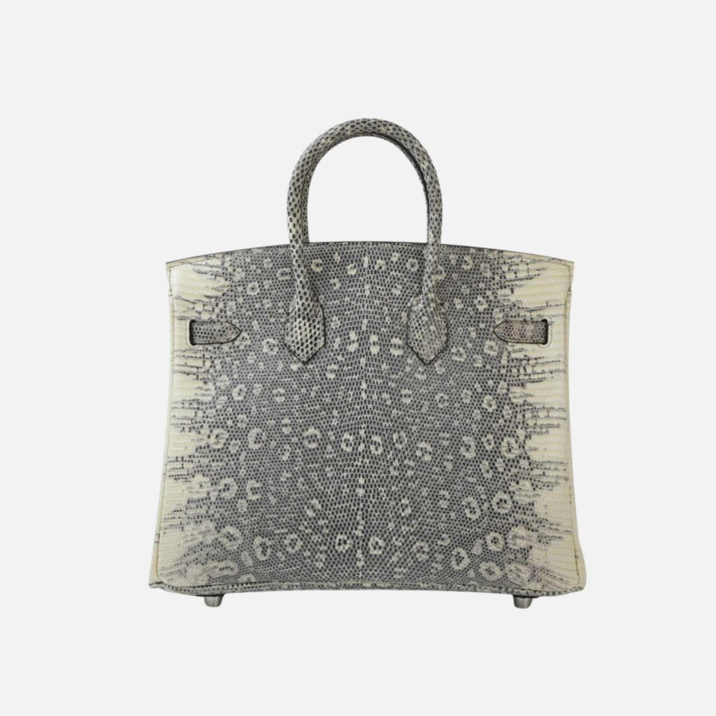 Birkin 25 Lizard Ombre PHW - Product Image 2
