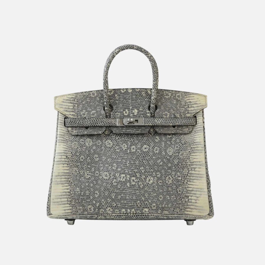 Birkin 25 Lizard Ombre PHW | Studio Nafay