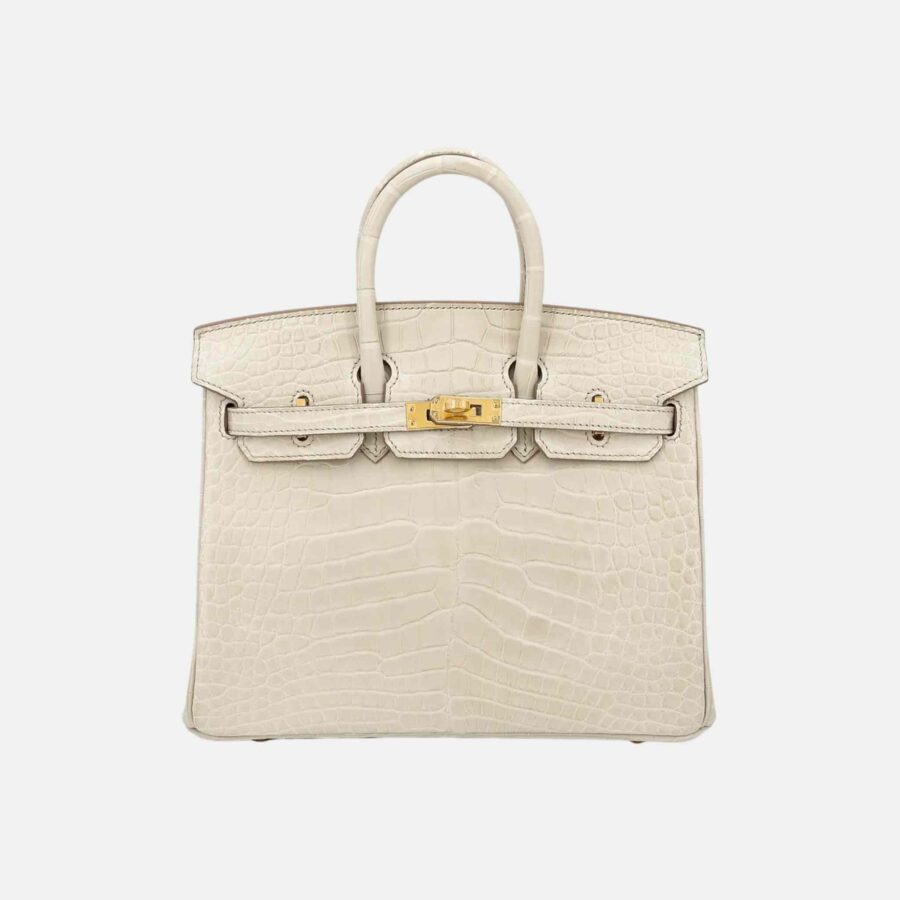 Birkin 25 Matte Alligator Beton GHW | Studio Nafay