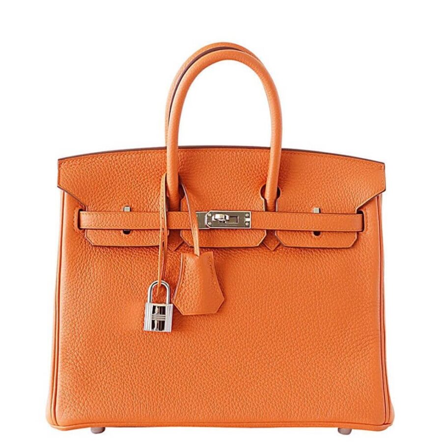 HermesBirkin 25 Bag H Orange Togo Leather | Studio Nafay