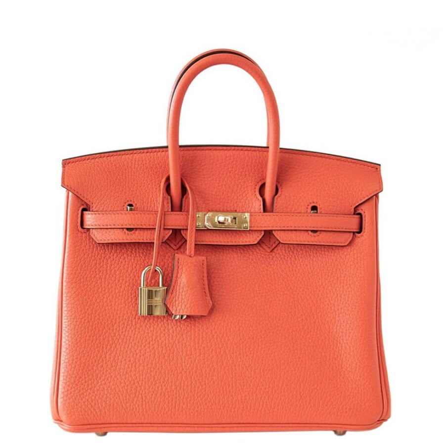 HermesBirkin 25 Bag Orange Poppy Gold Hardware | Studio Nafay