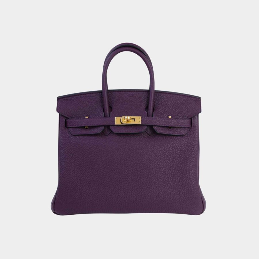 Birkin 25 Togo Cassis GHW | Studio Nafay