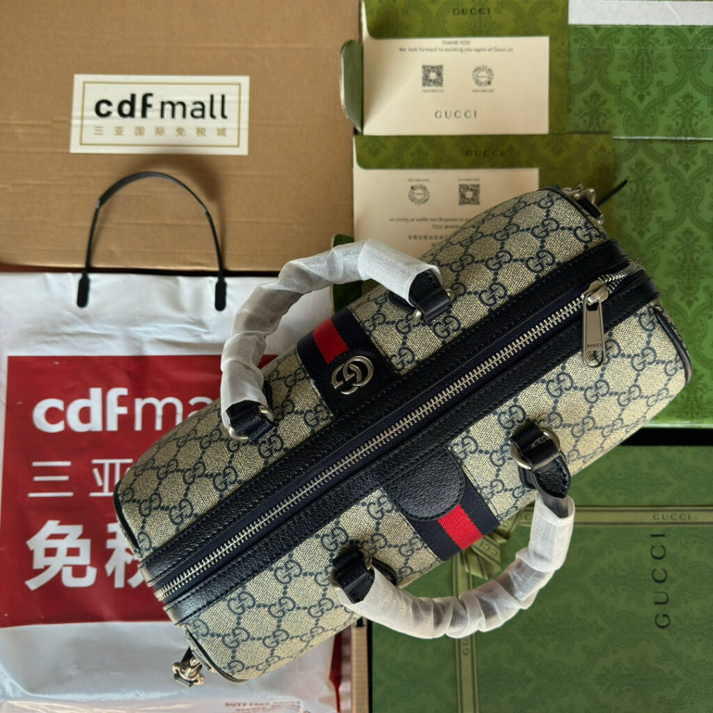 Gucci Ophidia Bag Beige mix Blue Canvas 240088 | Studio Nafay