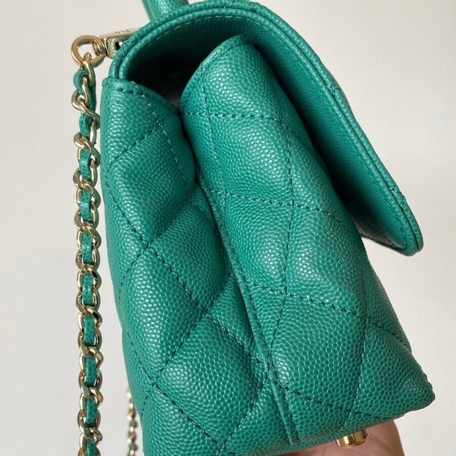 CC 25s Handle Bag 19 Pink Leather Green Caviar Gold Hardware | Studio Nafay