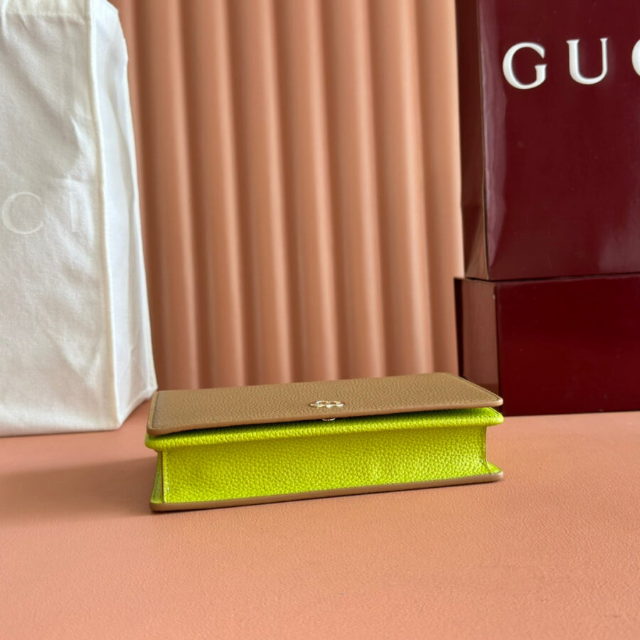 Gucci Marmont Chain Wallet Brown mix Light Green Leather 254943 | Studio Nafay