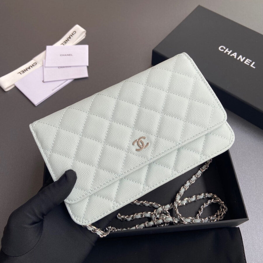 CC Woc 20cm White Grained Calfskin Silver Hardware | Studio Nafay
