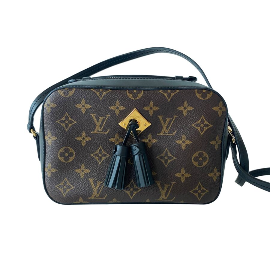 Louis Vuitton Monogram Saintonge Bag | Studio Nafay