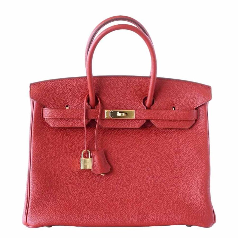 HermesBirkin 25 Vermillion Bag GHW | Studio Nafay