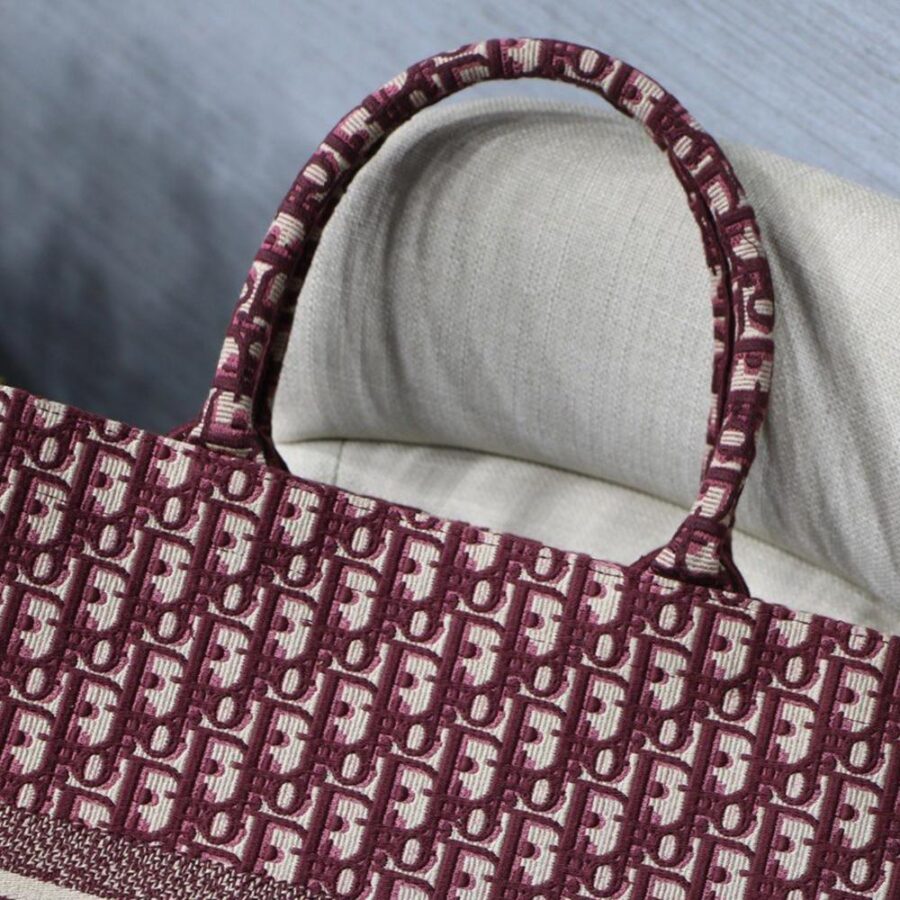 DIOR BOOK TOTE | Studio Nafay