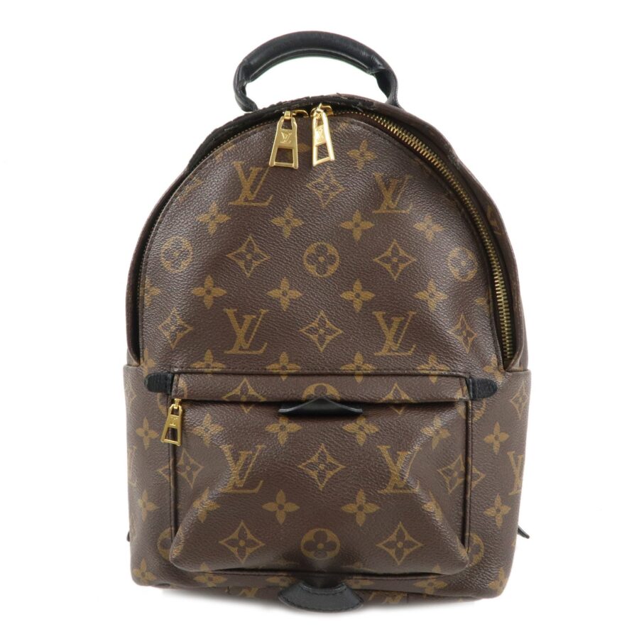 Louis Vuitton Monogram Palm Springs Back Pack PM Brown | Studio Nafay