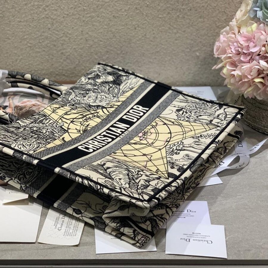 DIOR BOOK TOTE | Studio Nafay