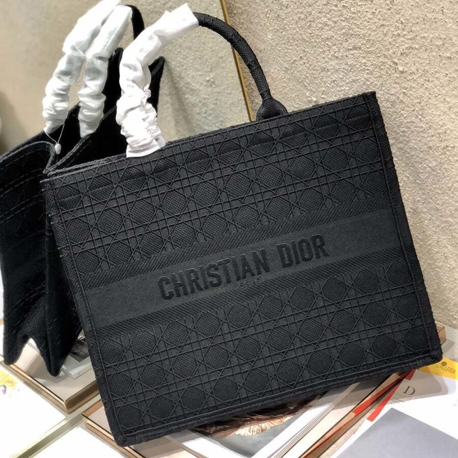 DIOR BOOK TOTE | Studio Nafay