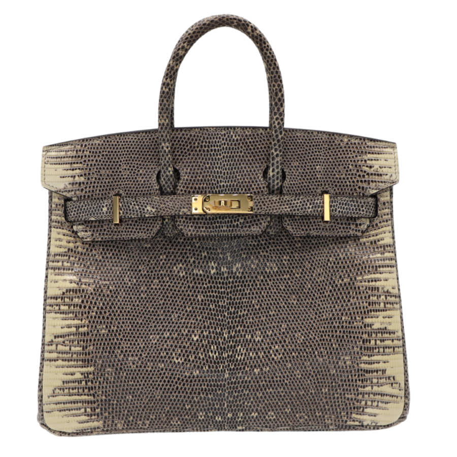 Hermes25cm Birkin Ombre Lizard Gold Hardware | Studio Nafay