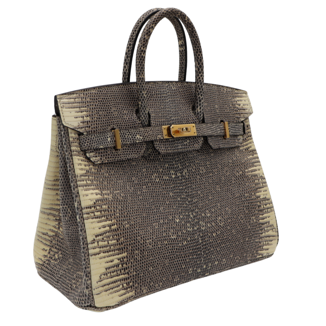 Hermes25cm Birkin Ombre Lizard Gold Hardware