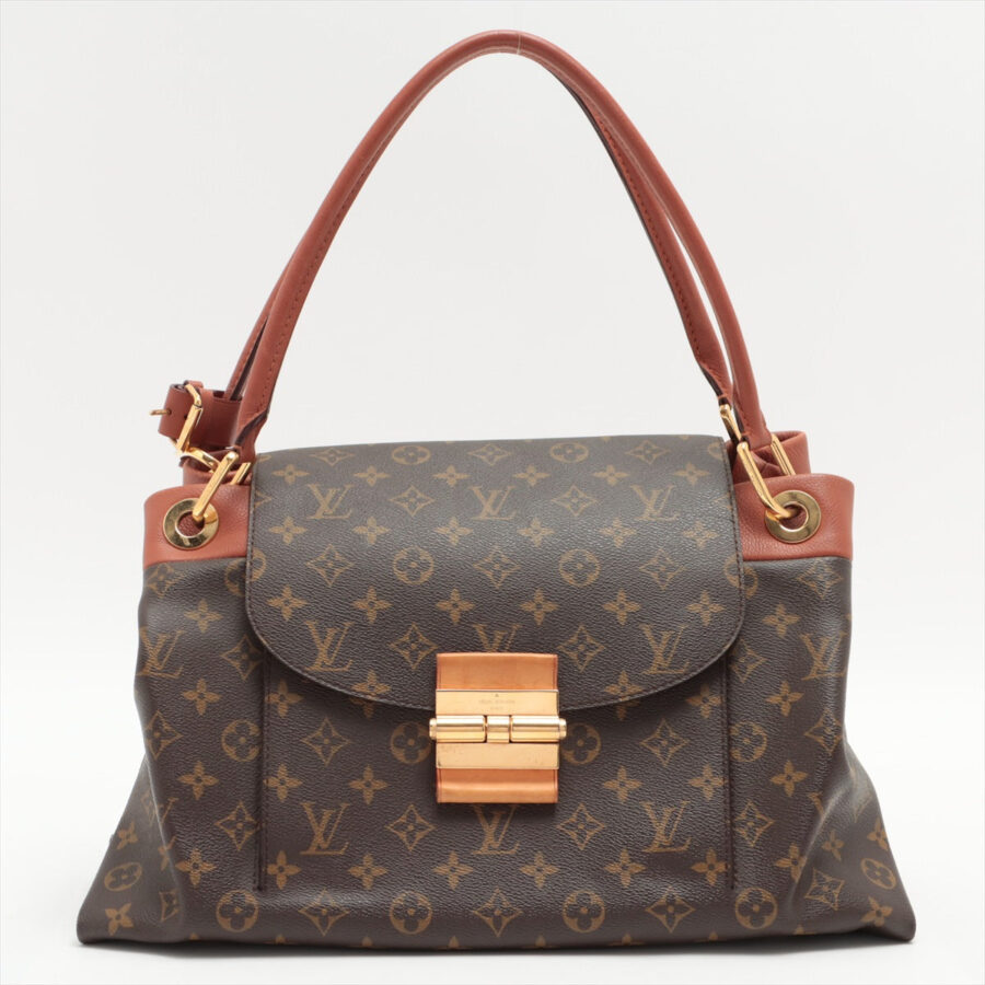 Louis Vuitton Monogram Olympe | Studio Nafay