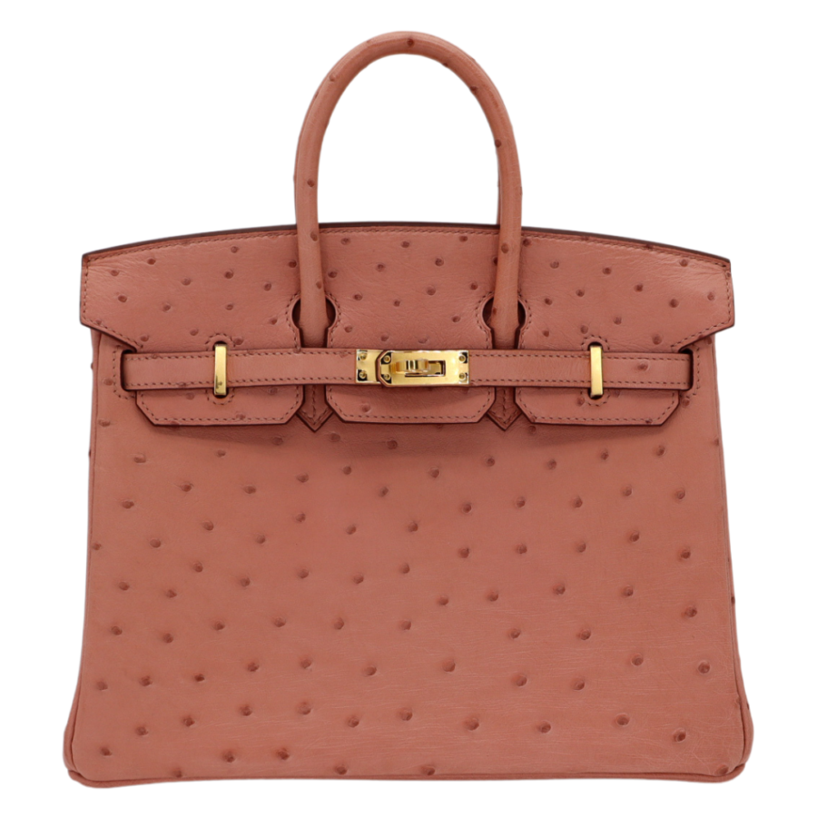 Hermes25cm Birkin Terre Cuite Ostrich Gold Hardware | Studio Nafay