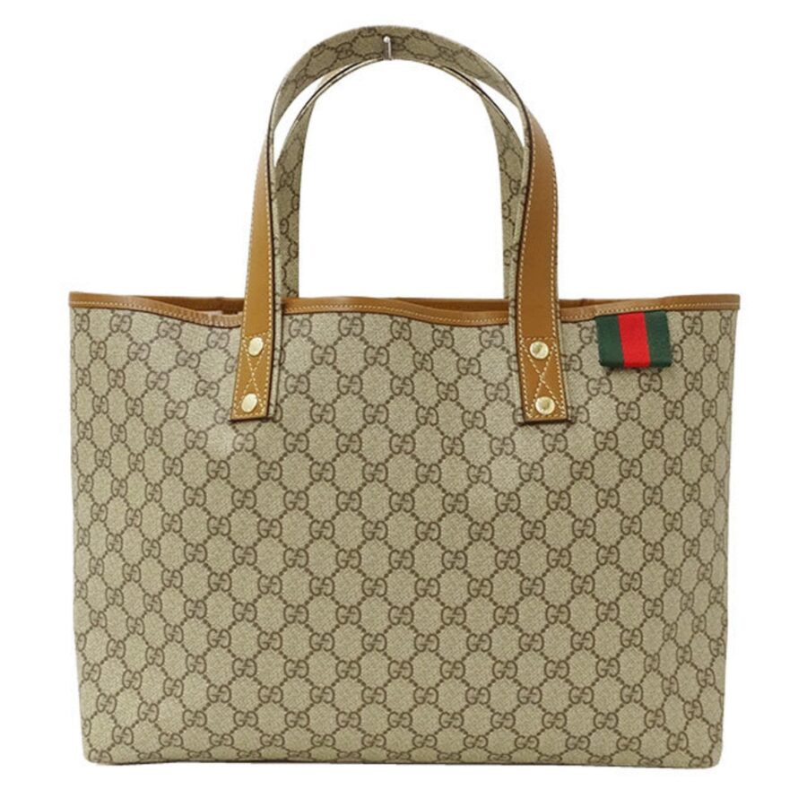 Gucci Bag Ladies Tote GG Plus Sherry Greige 211134 | Studio Nafay