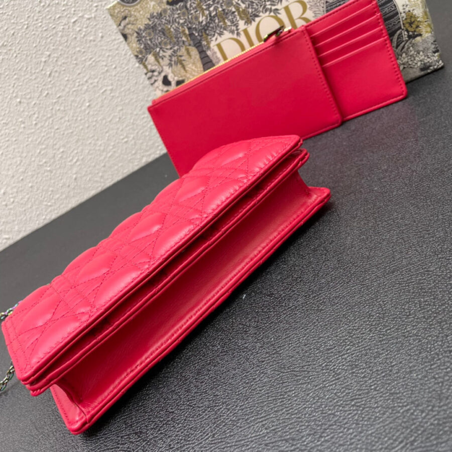 CARO SLIM POUCH 21 BAG IN CHERRY RED CALFSKIN | Studio Nafay