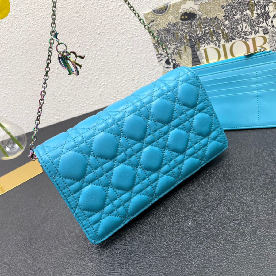 CARO SLIM POUCH 21 BAG IN SKY BLUE CALFSKIN | Studio Nafay