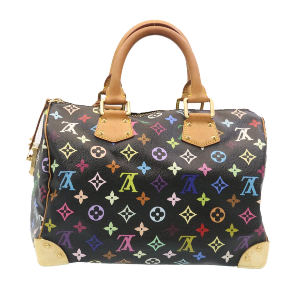 LOUIS VUITTON Multicolor Speedy 30 Hand Bag LV Auth 28793A | Studio Nafay