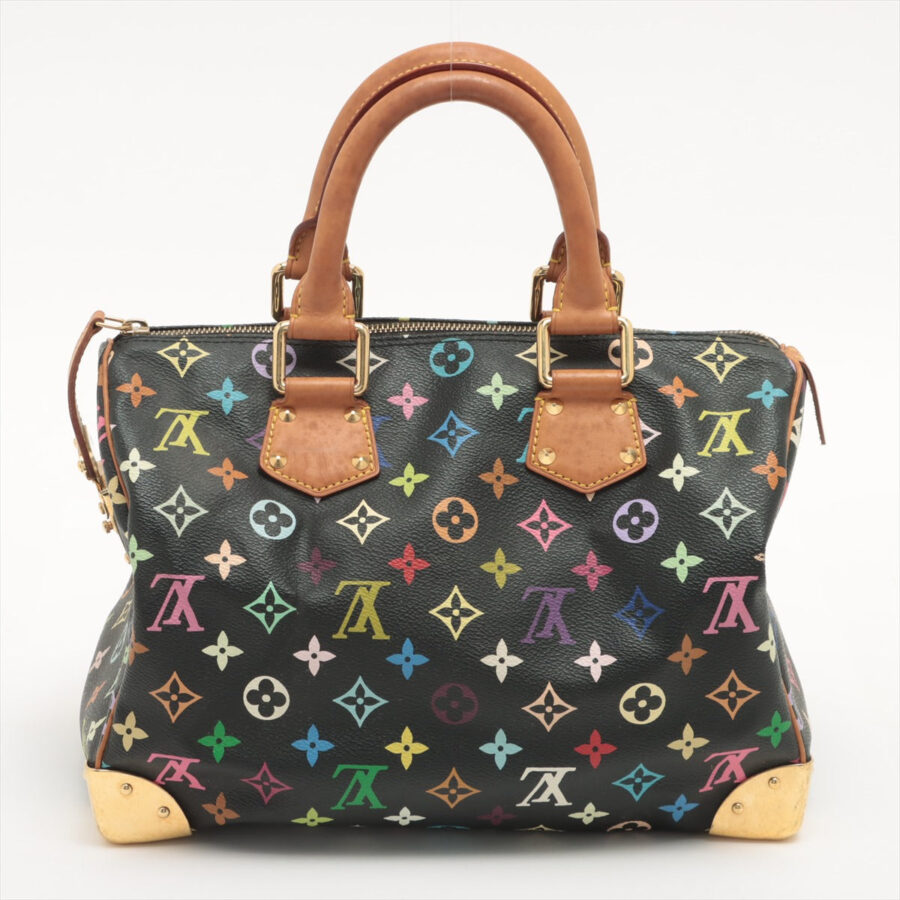 Louis Vuitton Multicolor Speedy 30 | Studio Nafay