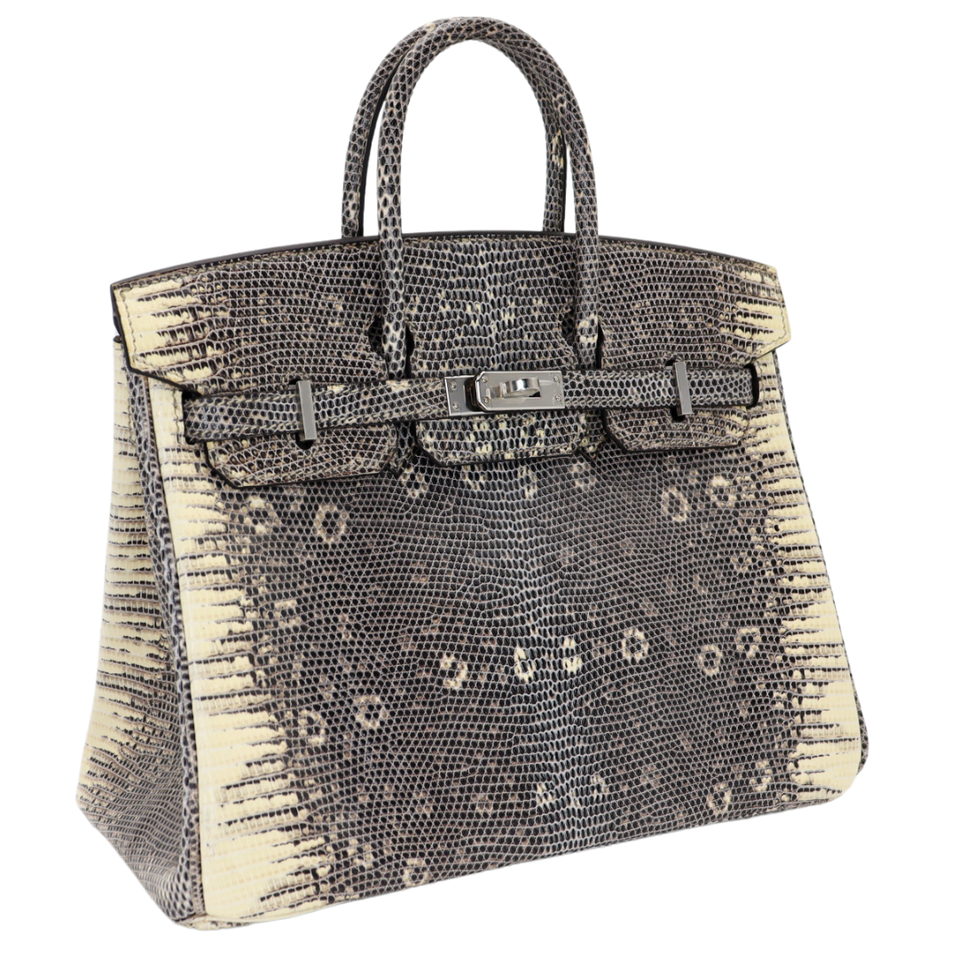 Hermes25cm Birkin Ombre Lizard Palladium Hardware