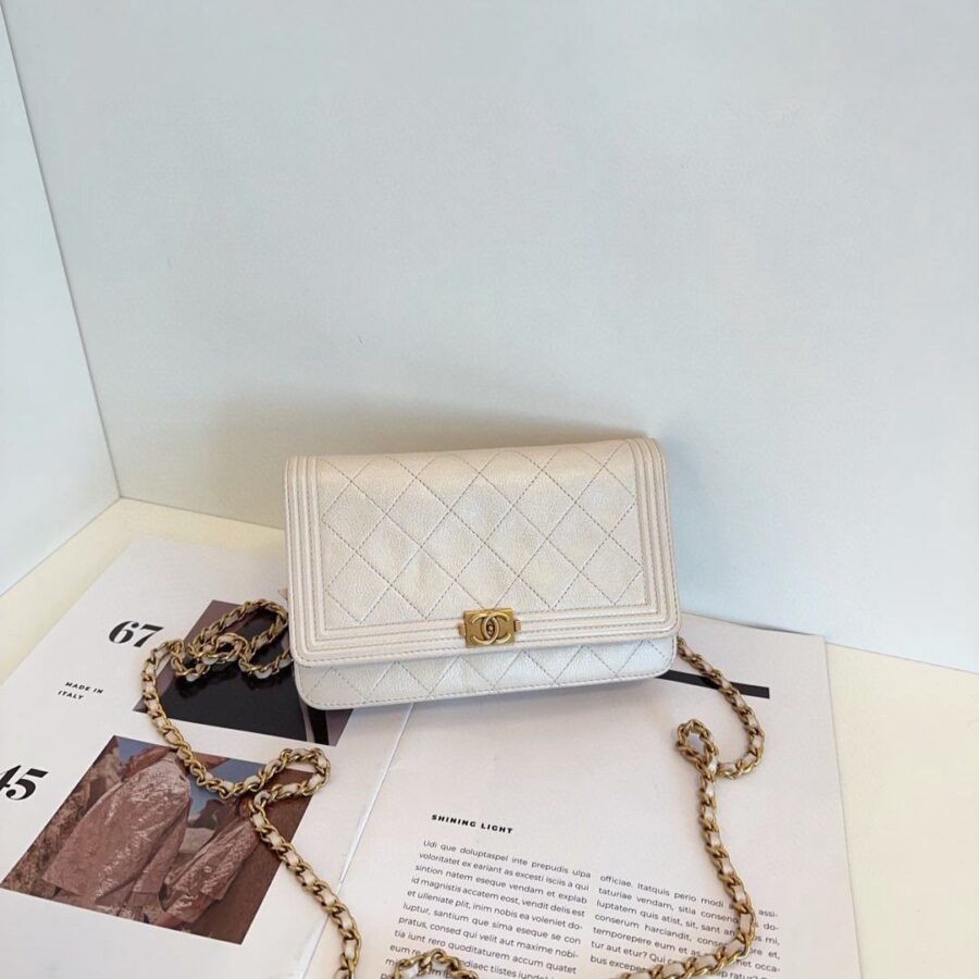 Chanel Leboy WOC chain bag white | Studio Nafay