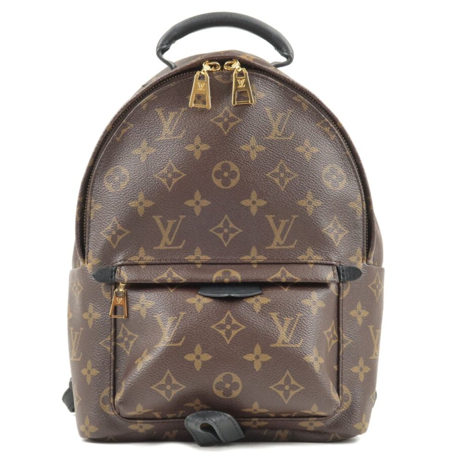 Louis Vuitton Monogram Palm Springs PM Back Pack | Studio Nafay