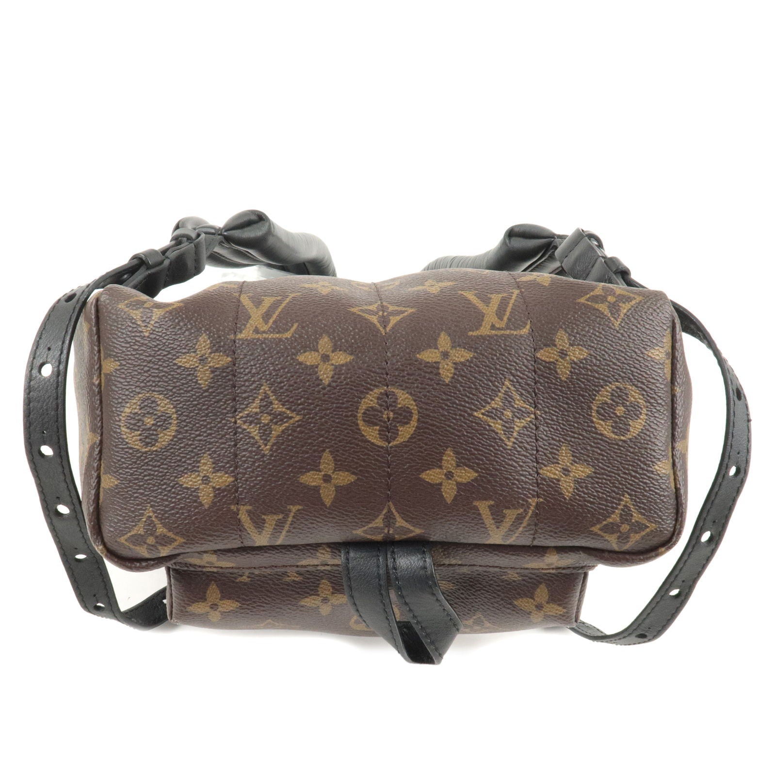 Louis Vuitton Monogram Palm Springs PM Back Pack