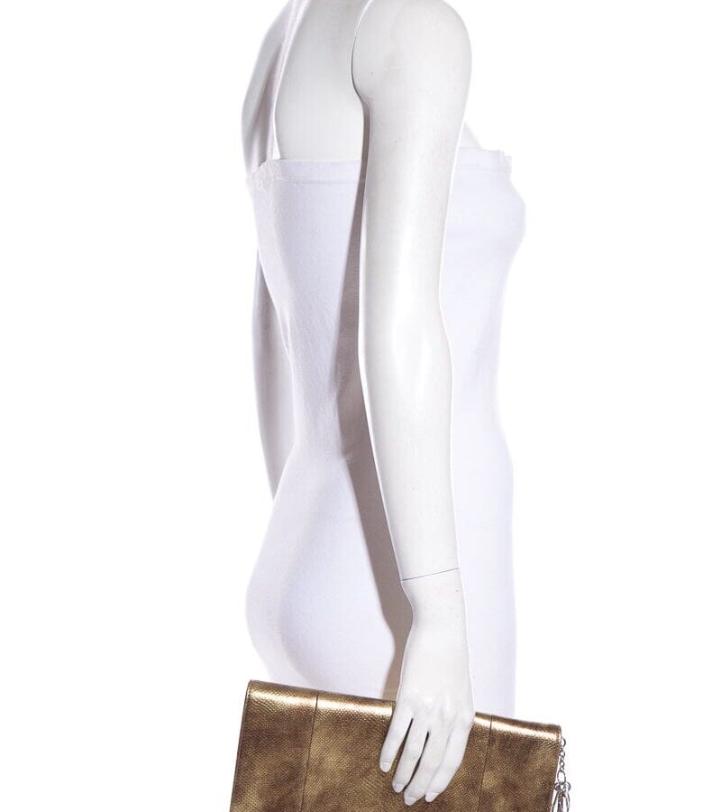Lady Dior Gold Lizard Skin Clutch | Studio Nafay