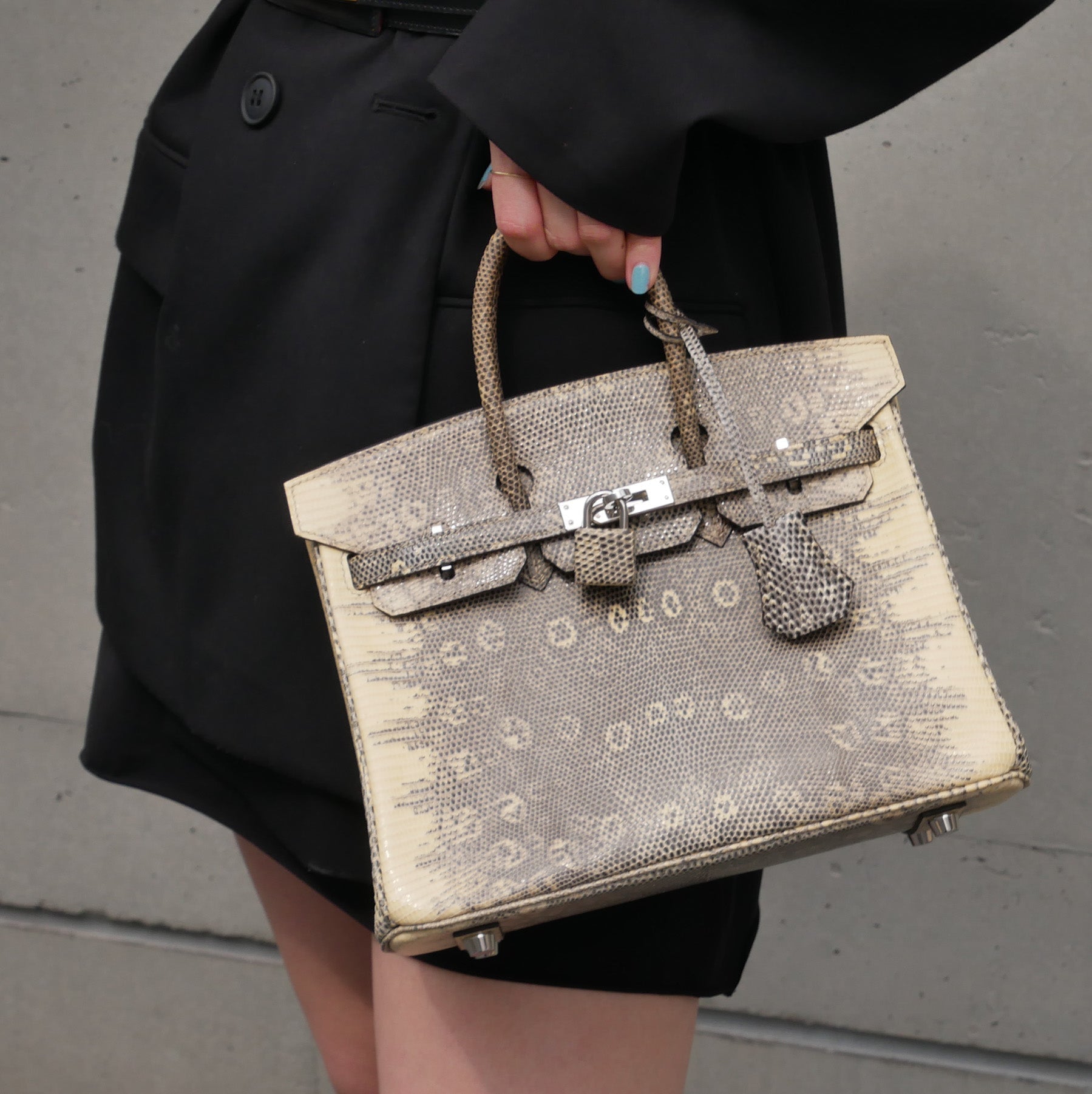 HERMES BIRKIN 25 Ombre Natural Lizard