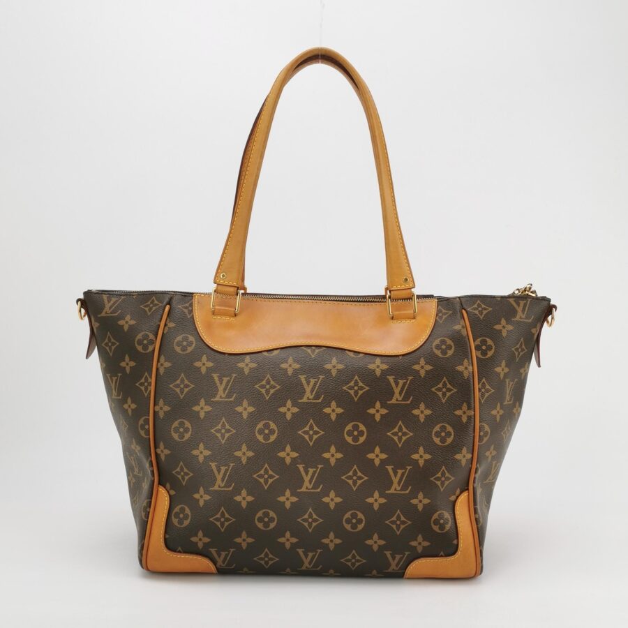 Louis Vuitton Estrela Monogram Print Shoulder Bag 250515781193782 | Studio Nafay