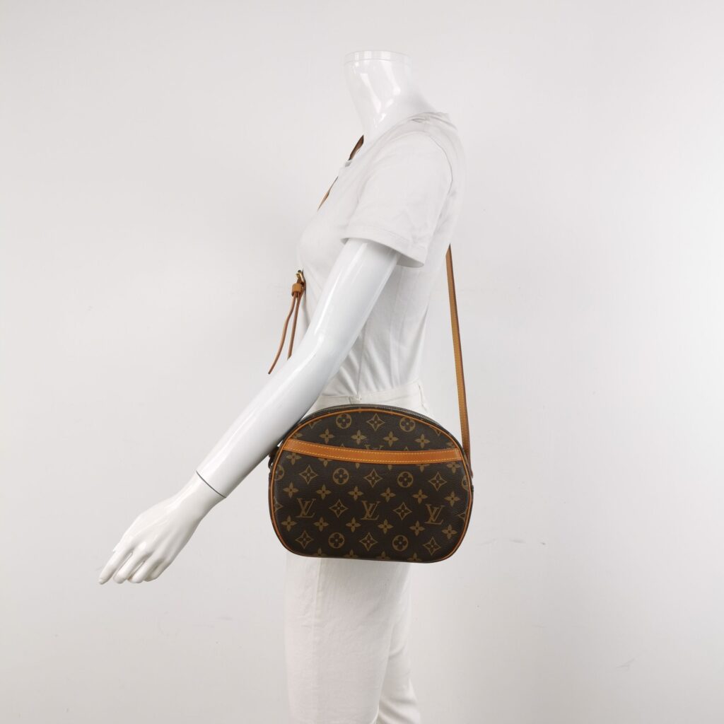 Louis Vuitton Blois Apple Bag Crossbody Bag 250101781005650 - Product Image 2