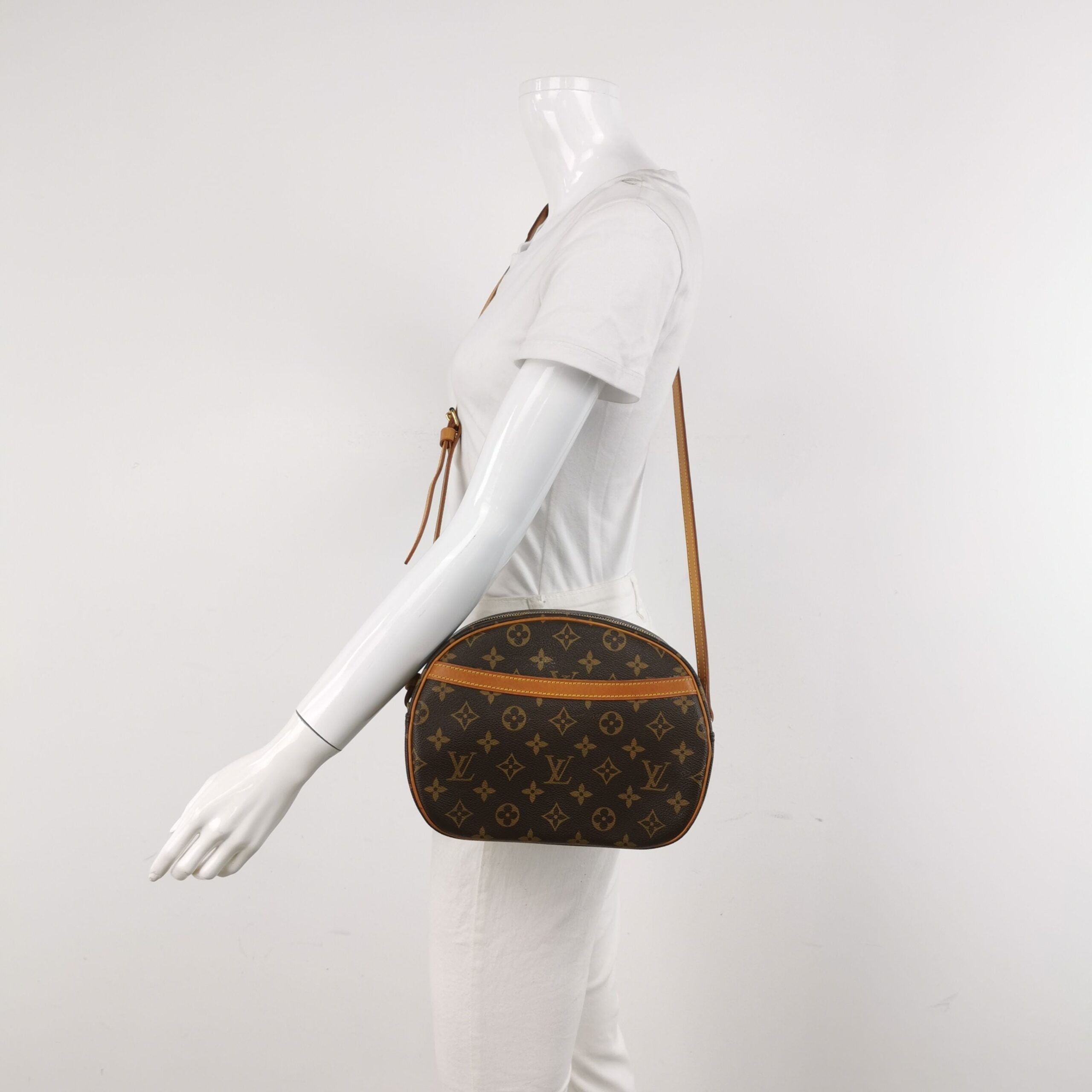 Louis Vuitton Blois Apple Bag Crossbody Bag 250101781005650