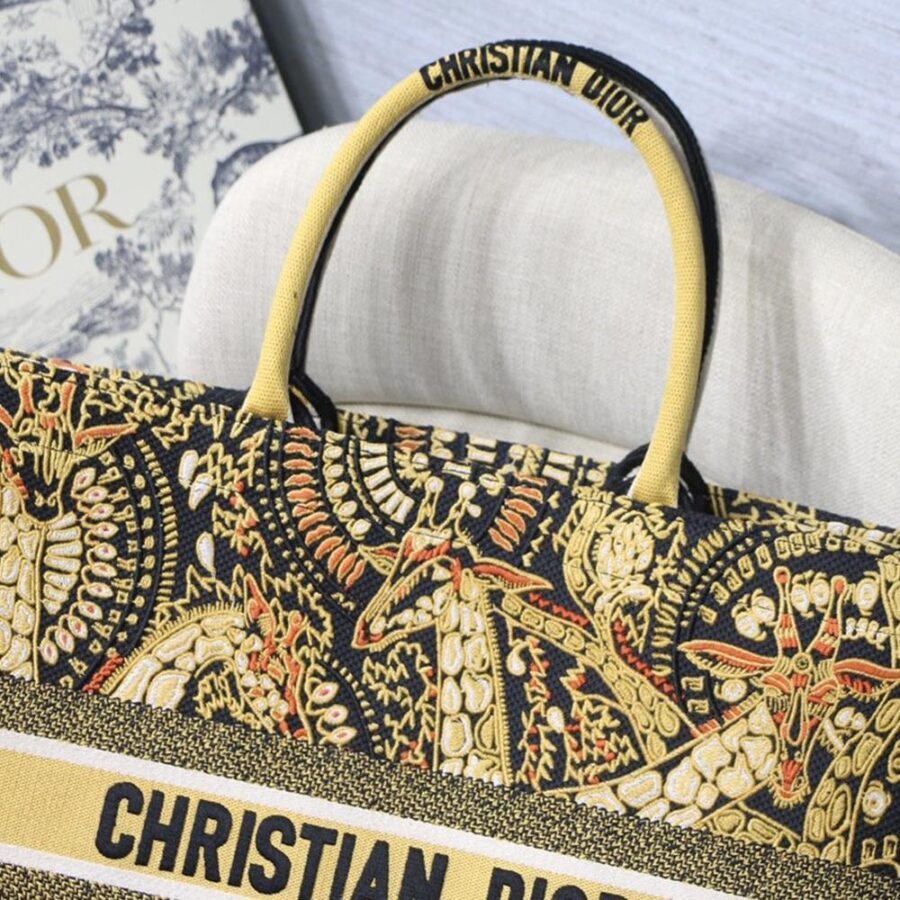 DIOR BOOK TOTE | Studio Nafay