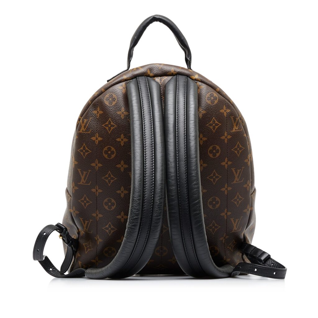 LOUIS VUITTON Monogram Palm Springs MM Backpack - Product Image 2