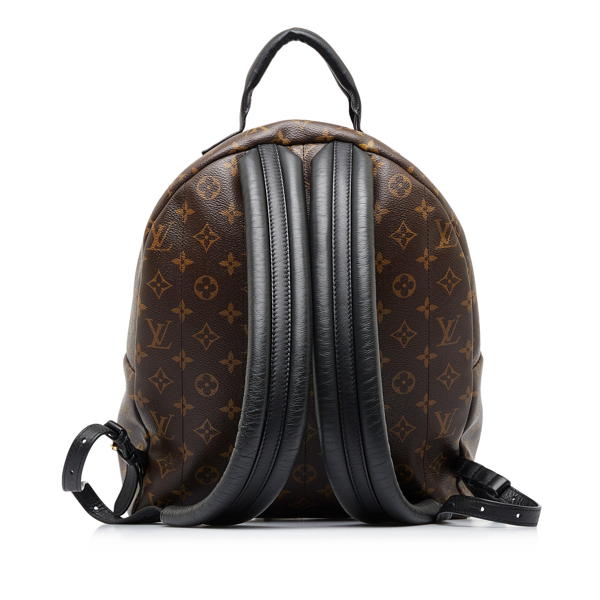 LOUIS VUITTON Monogram Palm Springs MM Backpack