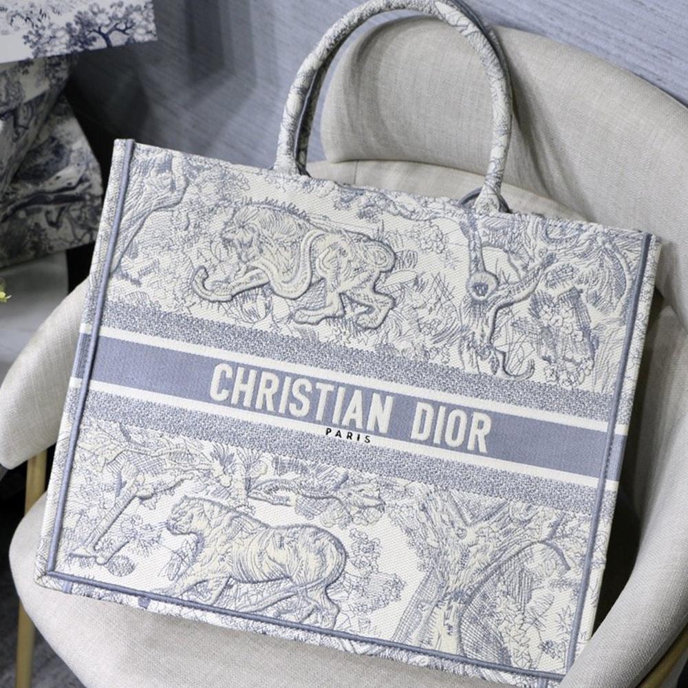 DIOR BOOK TOTE