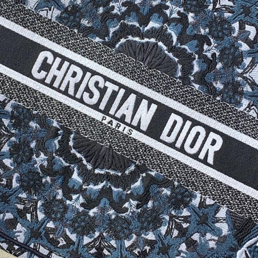 DIOR BOOK TOTE | Studio Nafay