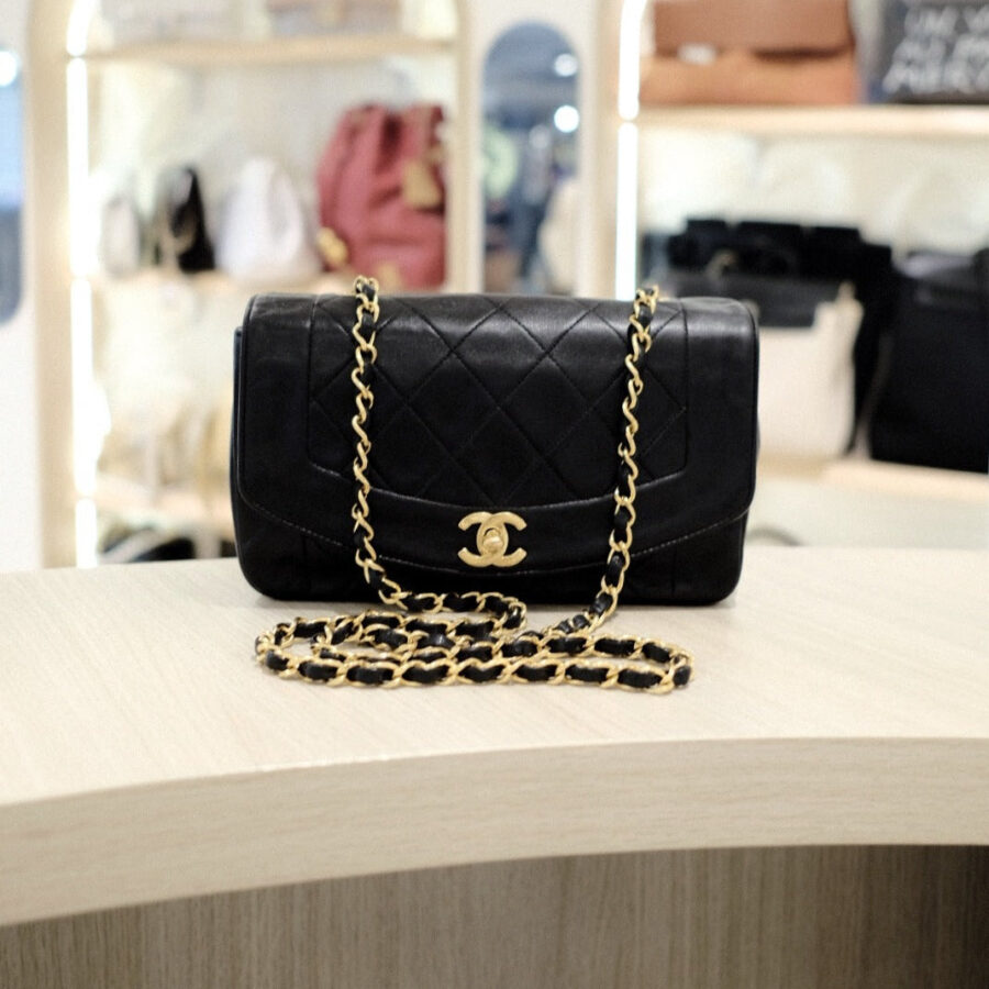 Chanel Diana 22Cm Handbag Luxury Designer Handbag | Studio Nafay